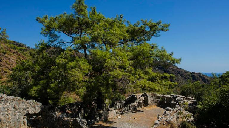 Lycian Way - Çıralı - Yanartaş - Beycik
